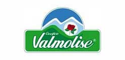 Logo Valmolis